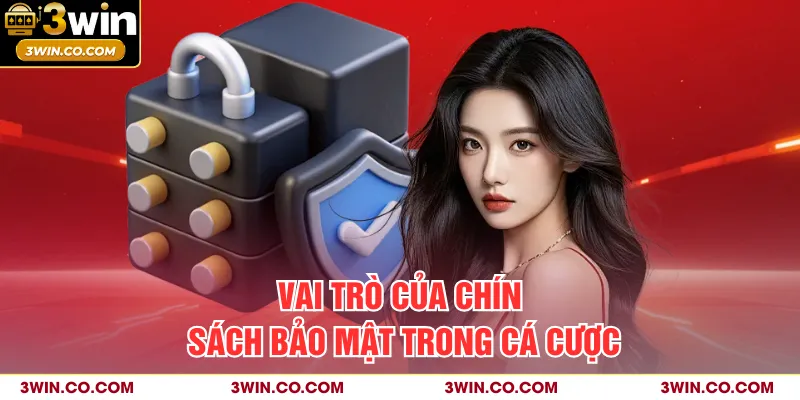 Vai trò của chính sách bảo mật trong cá cược